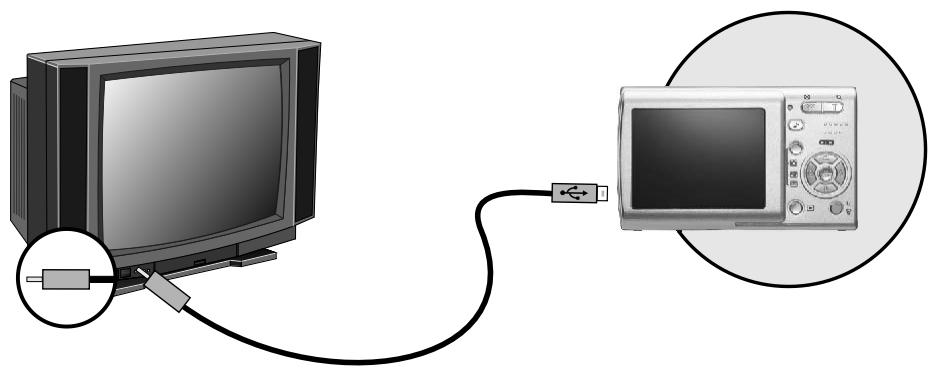 FERRANIA SOLARIS DIGITAL 611 - Connexion au téléviseur - 1
