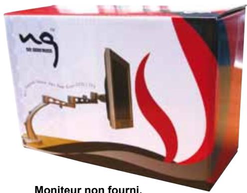 NET GENERATION NG-2720S - Bras de support deluxe flex pour écran LCD - 3