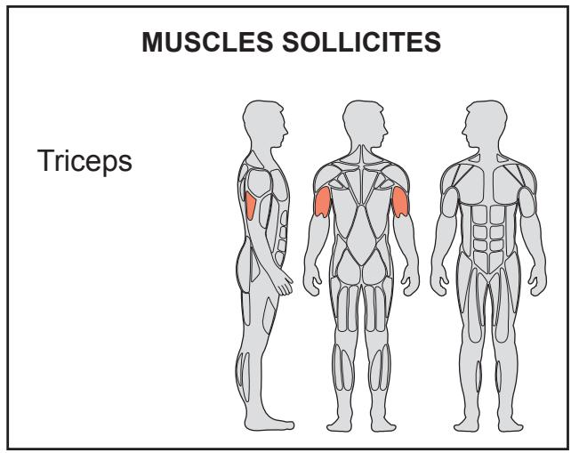 CYBEX INTERNATIONAL JUNGLE GYM - Mouvement - 2