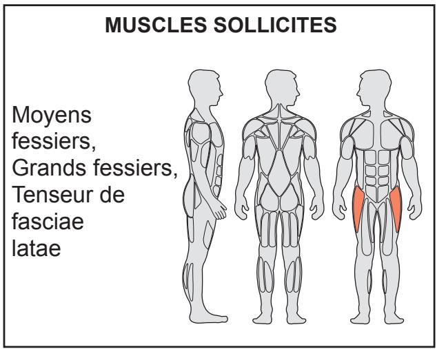 CYBEX INTERNATIONAL JUNGLE GYM - Réglement - 2