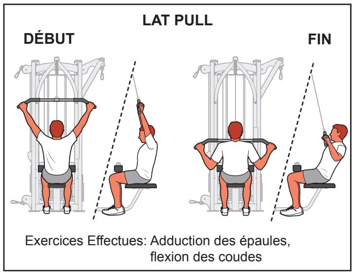 CYBEX INTERNATIONAL JUNGLE GYM - Mouvement - 1