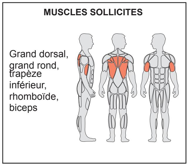 CYBEX INTERNATIONAL JUNGLE GYM - Mouvement - 2