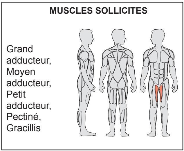 CYBEX INTERNATIONAL JUNGLE GYM - Mouvement - 2