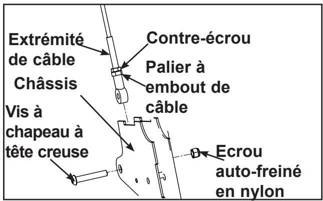 CYBEX INTERNATIONAL JUNGLE GYM - Réglage du cable - 2