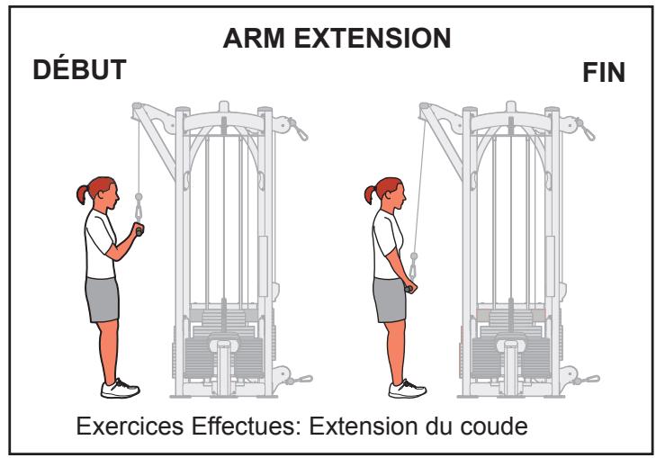 CYBEX INTERNATIONAL JUNGLE GYM - Mouvement - 1