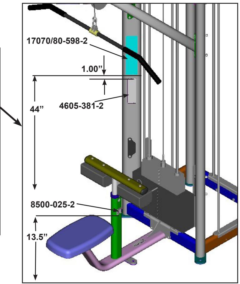 CYBEX INTERNATIONAL JUNGLE GYM - Arm extension - 10