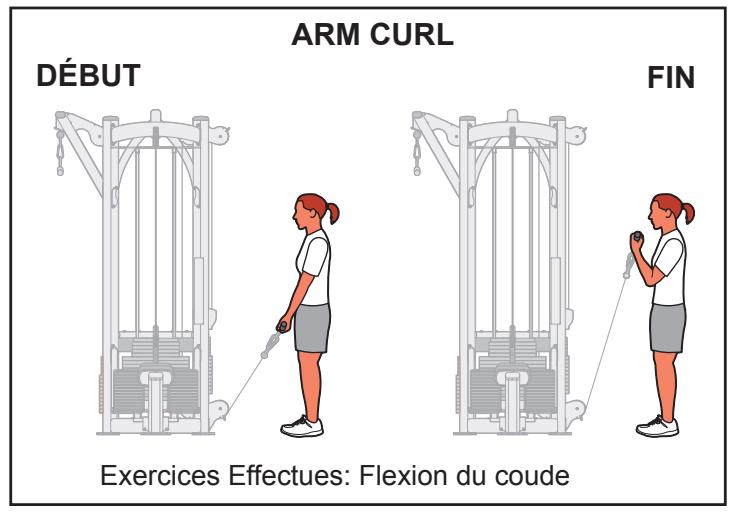 CYBEX INTERNATIONAL JUNGLE GYM - Mouvement - 1
