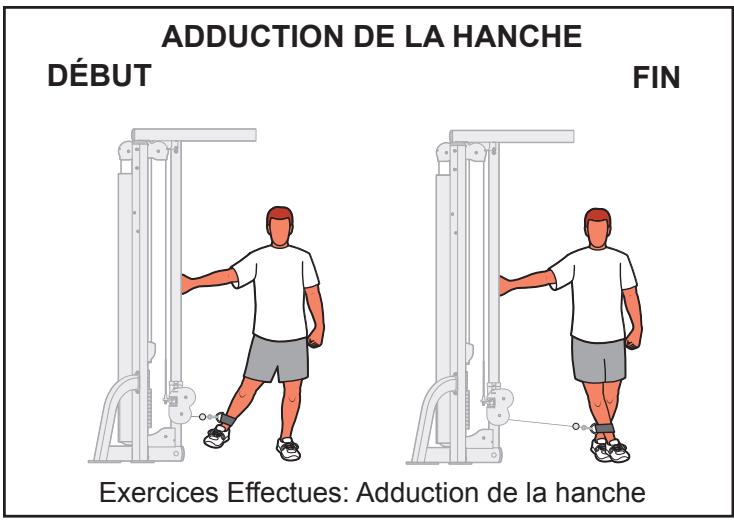 CYBEX INTERNATIONAL JUNGLE GYM - Mouvement - 1