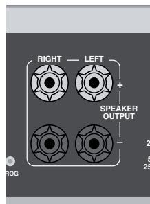 ARCAM SOLO MINI - Speaker cables - 1