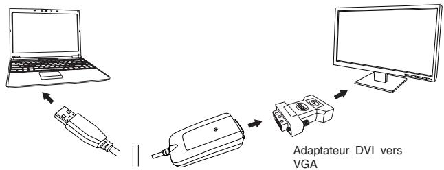 TARGUS ACA11EU - Connexion à un moniteur ou un écran LCD - 2