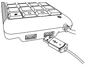 TARGUS AKP08EU - Folosirea porturilor USB - 1