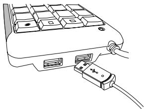 TARGUS AKP08EU - Uso del Hub USB de 2 Puerto - 1