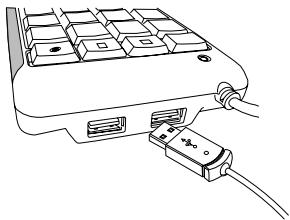 TARGUS AKP08EU - De 2-Poort USB Hub gebruiken - 1