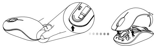 TARGUS WIRELESS COMFORT LASER MOUSE - Installation des piles - 1