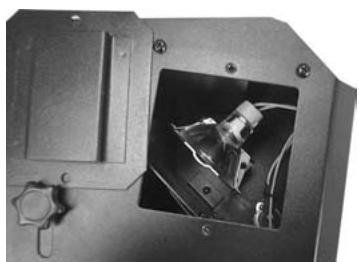 BEGLEC FALCON - COLOCAR LA LAMPARA - 3
