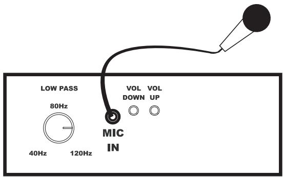 POLK AUDIO DSW MICROPRO 3000 - AUTOPRO ROOM RESONANCE CORRECTION (DSW2000/3000/4000 only) - 1