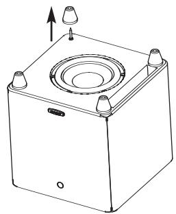 POLK AUDIO DSW PRO 500 - Patas y pácas de alfombra - 2