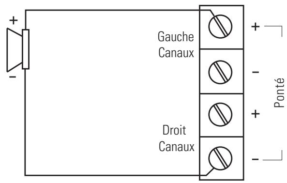 POLK AUDIO PA250.2 21 CHANNELS - Connexions—panneau arrière - 2