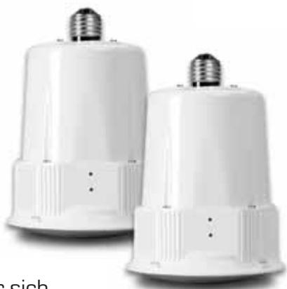 EDOBE XDOM LIGHTSPEAKER SYSTEM - Systemüberblick - 1
