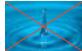 FRANKE CAMPUS  - BROCHURE - Urinoir individuel sans eau - 1
