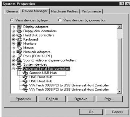 DICOTA BRANCH POWER 2.0 - Windows ME: - 1