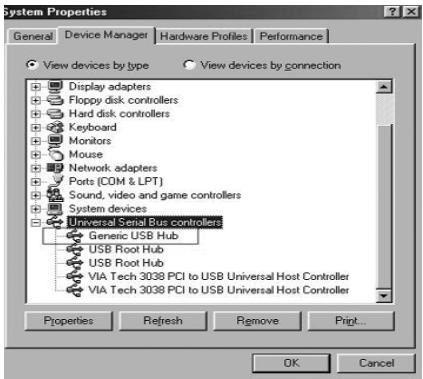 DICOTA BRANCH POWER 2.0 - Windows 98/SE: - 1