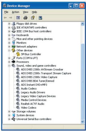 ADS TECH INSTANTDVD+MP3 - Hardware-Installation überprüfen - 1