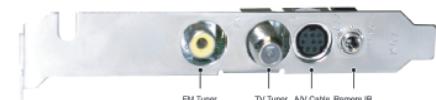 ADS TECH PTV-352 INSTANTTV+FM PCI - 3