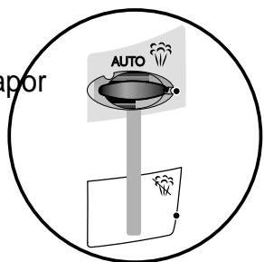 T-FAL AVANTIS - Vapor automático - 1