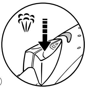 T-FAL 1829 - Para planchar verticalmente (según modelos) - 2