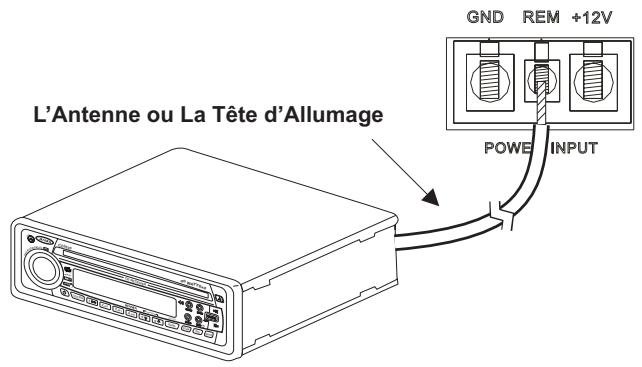 AUDIOVOX POWER AMPLIFIERS 900 - Borne à distance (REM) - 1
