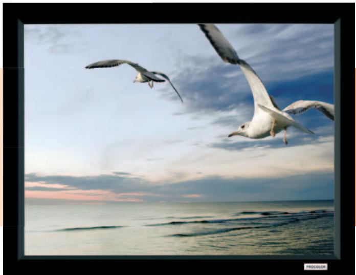 PROCOLOR HOME SCREEN DELUXE - Descriptif technique - 1