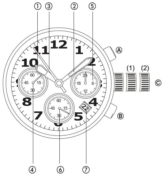 BREIL FS20 - 1
