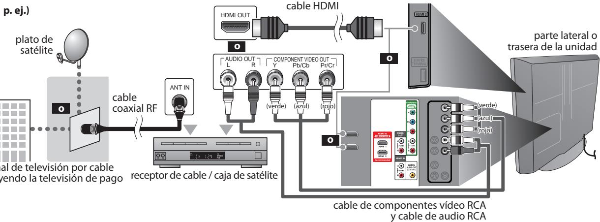 SYLVANIA LC321SSX - Conexión al Receptor de Cable o Caja de Satélite - 1
