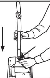 ROYAL MRY6900 - COLOQUE EL ASA - 1