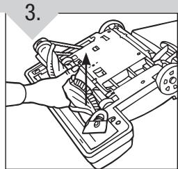 ROYAL MRY6900 - POUR ENLEVER DE LAS TIRAS DE CERDAS - 3