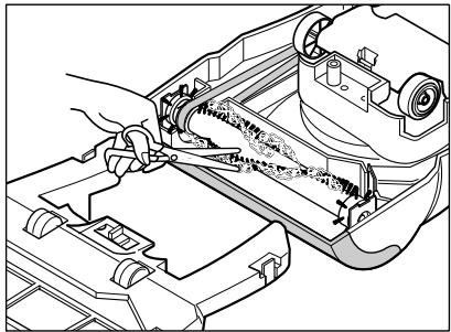 ROYAL RY5300 - Limpieza del Rodillo de escobilla - 1