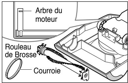 ROYAL RY5300 - Remplacement de la courroie et/ou de la brosse cylindrique - 2