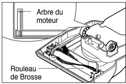 ROYAL RY5300 - Remplacement de la courroie et/ou de la brosse cylindrique - 1