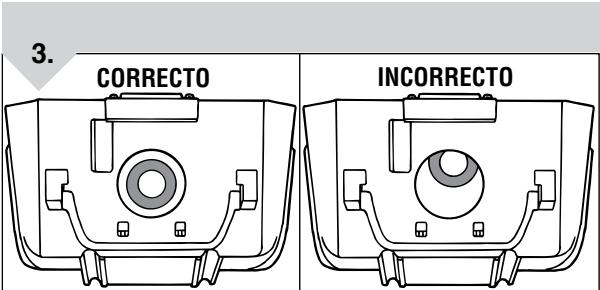 ROYAL SR30010 - No. de Parte 1-RY1080-000 - 3