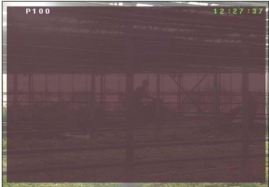 KATHREIN DVR UFD 558 - Liste des chaînes - radio/tv - 3