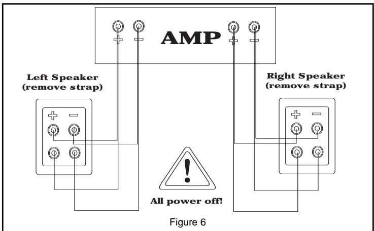 KLIPSCH REFERENCE BOOKSHELVES - DE LOS ALTAVOCES AL AMPLIFICADOR: CONSERVACION DE LA POLARIDAD O FASE - 2