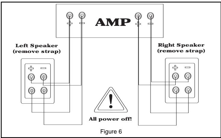 KLIPSCH REFERENCE BOOKSHELVES - MANTENIMENTO DELLA POLARITA TRA ALTOPARLANTI E AMPLIFICATORE - 2