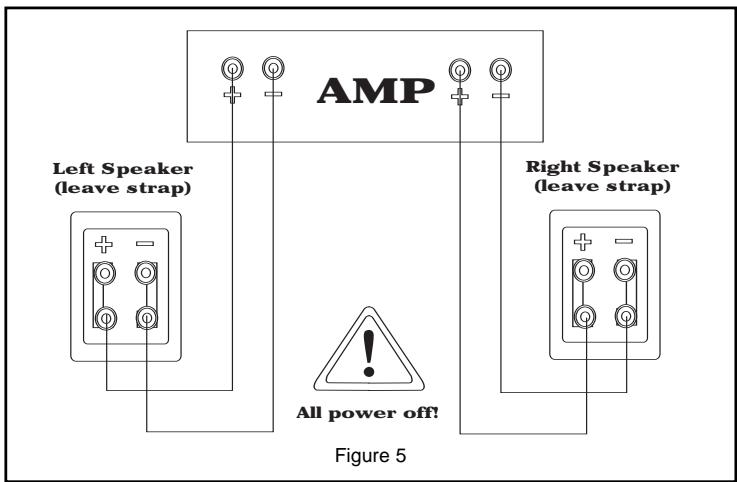 KLIPSCH REFERENCE BOOKSHELVES - DE LOS ALTAVOCES AL AMPLIFICADOR: CONSERVACION DE LA POLARIDAD O FASE - 1
