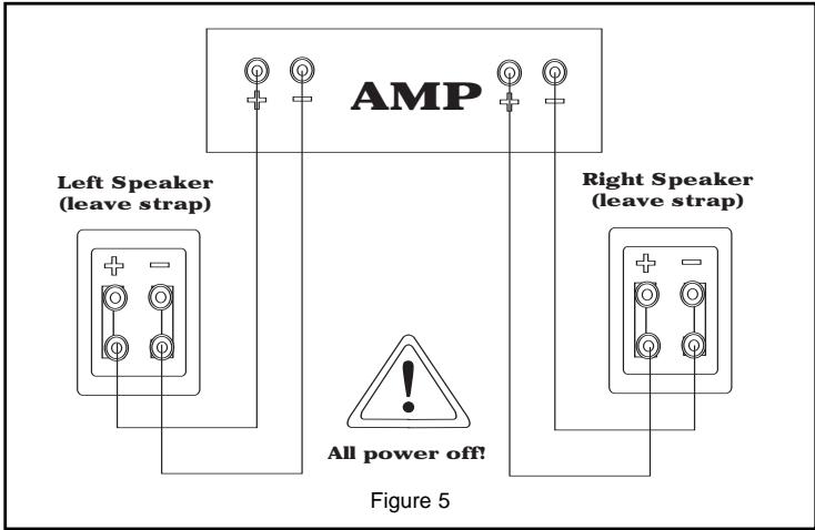 KLIPSCH REFERENCE BOOKSHELVES - MANTENIMENTO DELLA POLARITA TRA ALTOPARLANTI E AMPLIFICATORE - 1