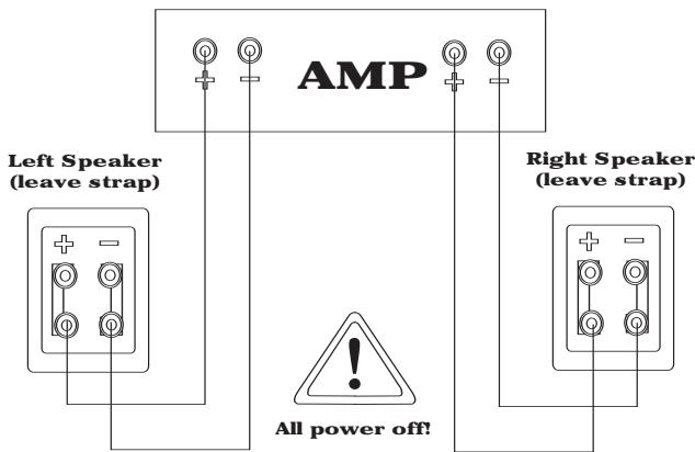 KLIPSCH REFERENCE BOOKSHELVES - SPEAKERS TO AMPLIFIER: KEEPING IT STRAIGHT - 1