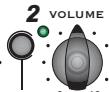 TRAYNOR DG30D - Internal Speaker Defeat - 6