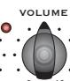 TRAYNOR DG30D - Internal Speaker Defeat - 5