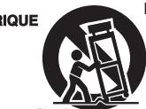 TRAYNOR YS1062 - IMPORTANT SAFETY INSTRUCTIONS - 2