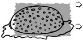 THOMSON KGT300NXI - REINIGUNG: - 1